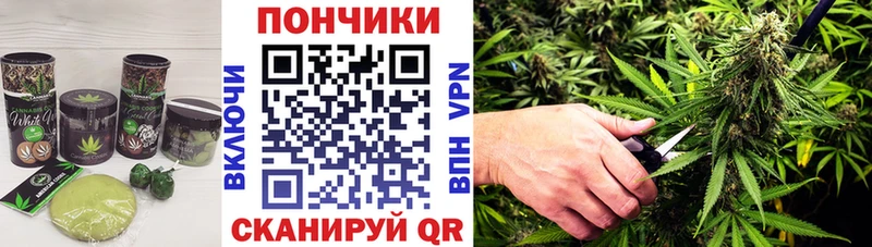 Cannafood марихуана  Купить где  Усть-Джегута 