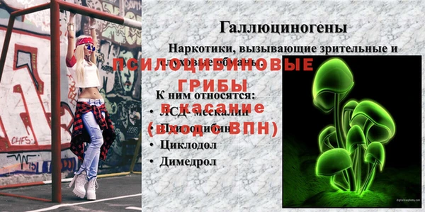 mdma Гусев