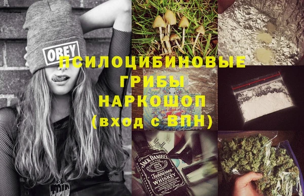 трава Дмитриев
