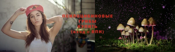 mdpv Дмитровск
