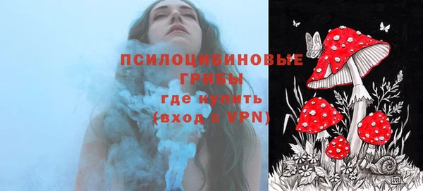 марки lsd Гусь-Хрустальный