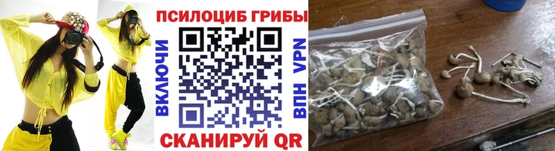Купить закладки  Усть-Джегута  Псилоцибиновые грибы прущие грибы 